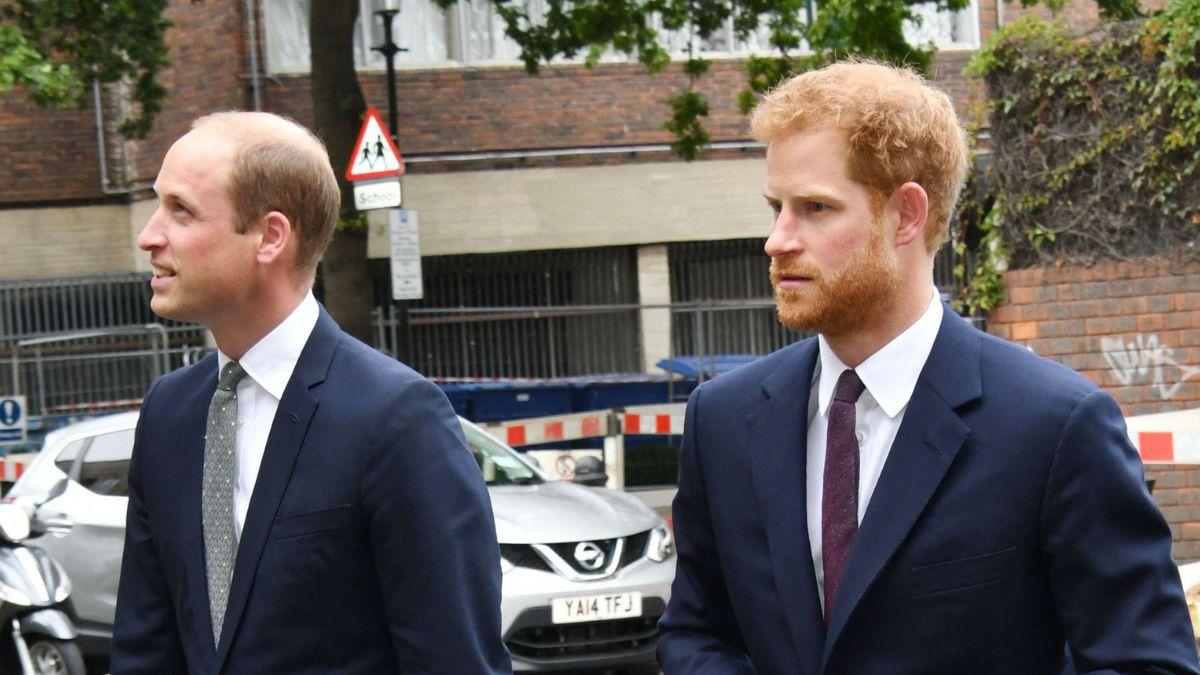 picture of Prince William and Prince Harry
