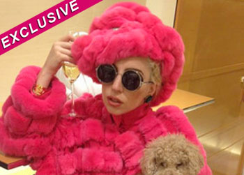 //lady gaga fur peta