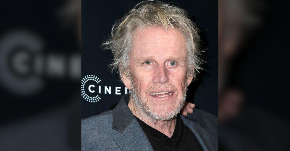 Photo of Gary Busey