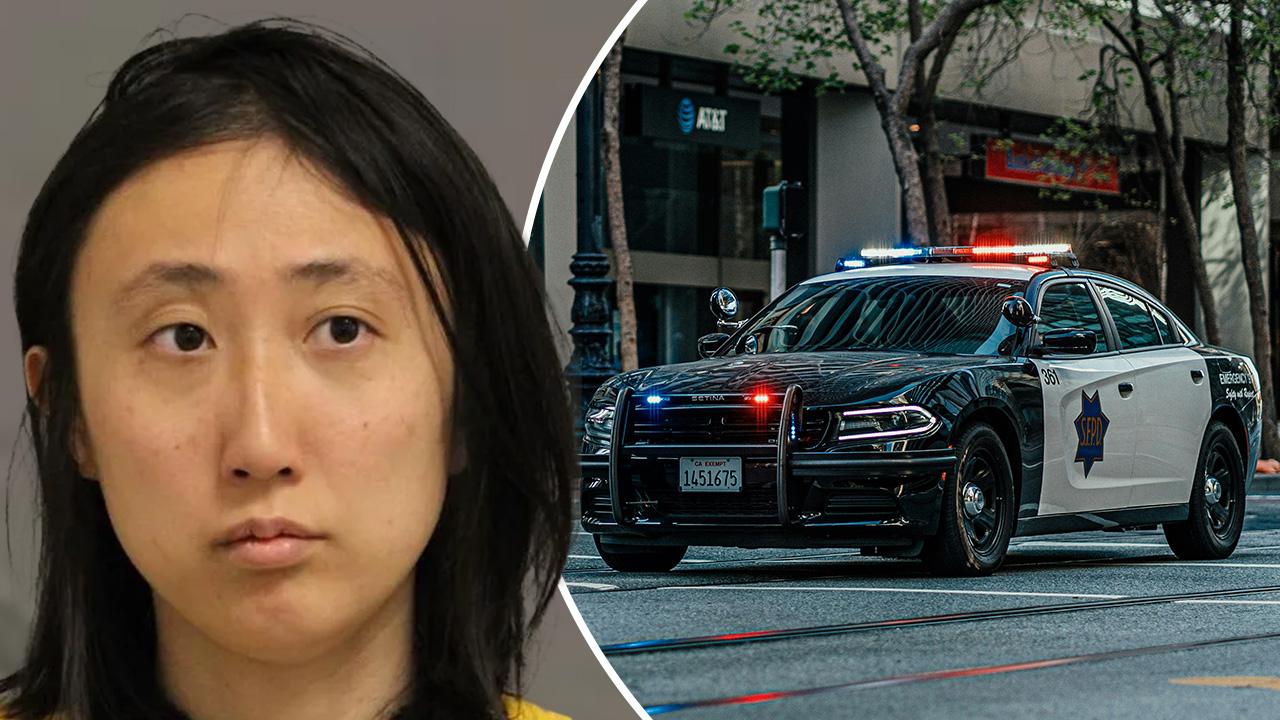 A woman has pleaded insanity to charges she chopped off her boyfriend's manhood before he died.