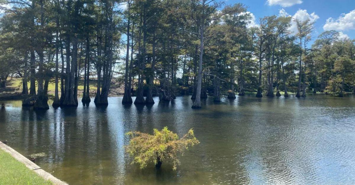 Photo of Tallahatchie River.