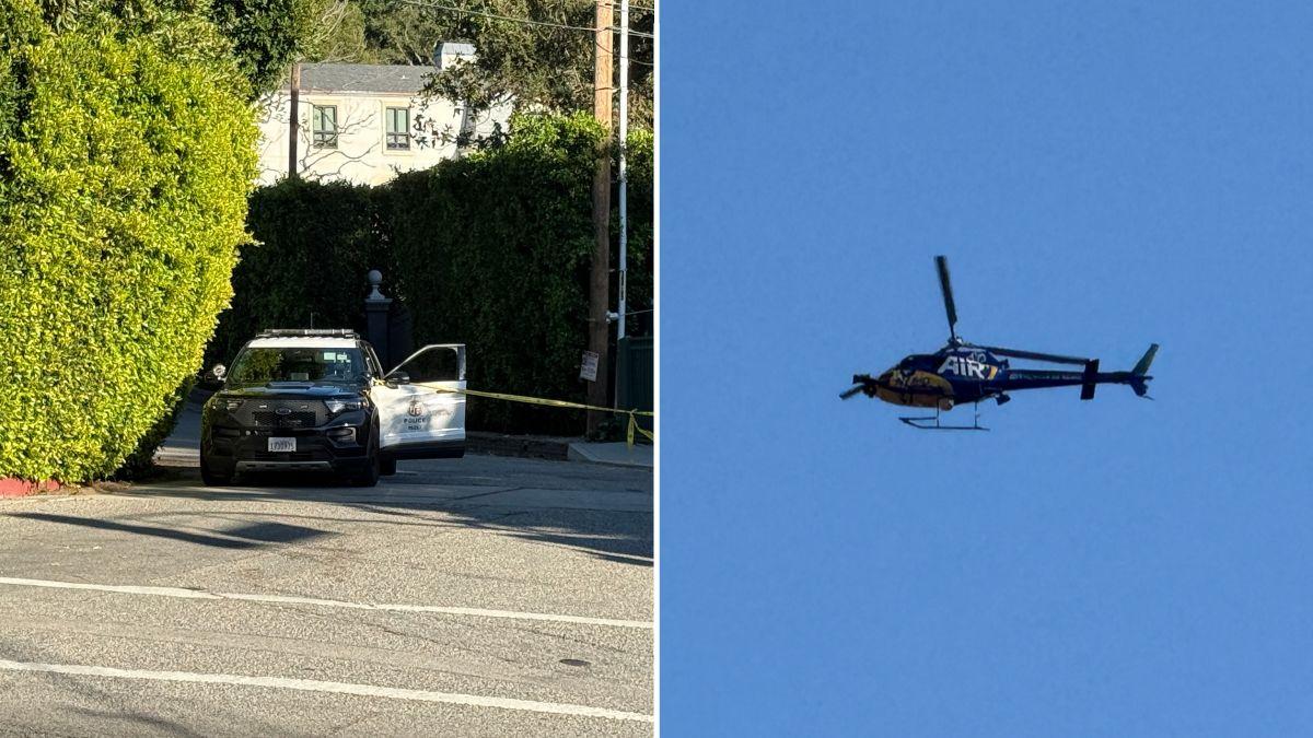 picture of police car outside RIhanna's street and helicopter