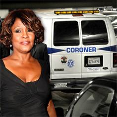 Cop Claims Pervy Police Sergeant Peeked At Whitney Houston's Naked ...