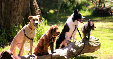 resultresultvalerie juliet valdez circle inset image templates x px