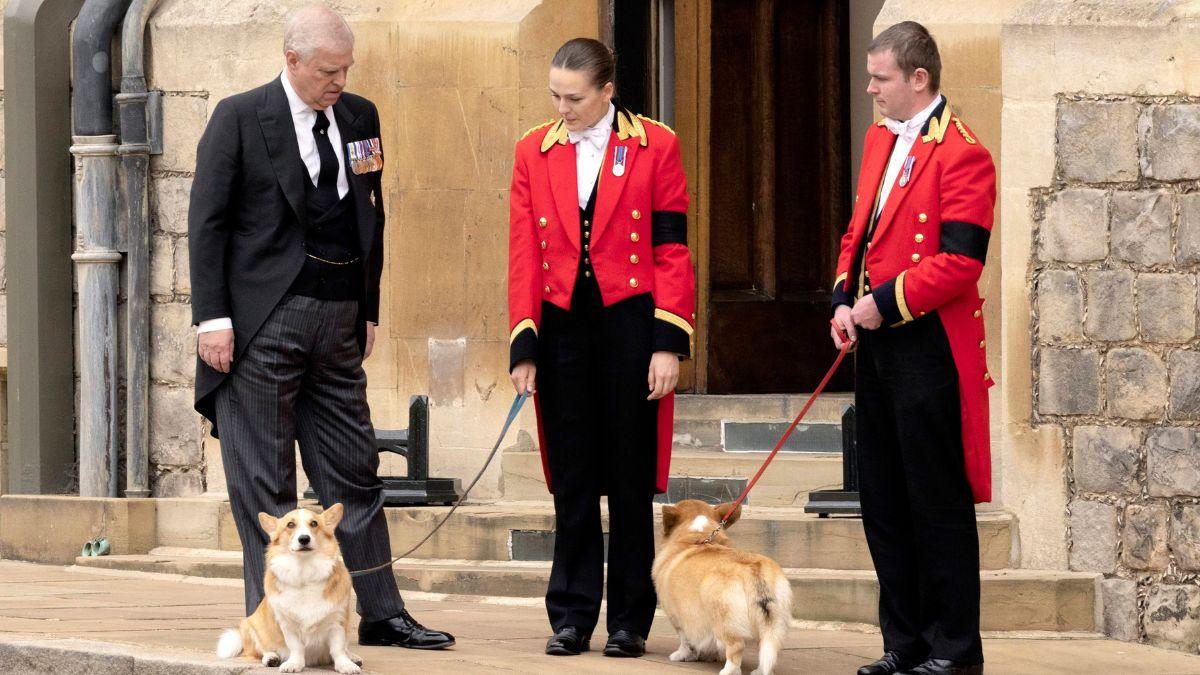 Photo of Prince Andrew and the Queen's corgis