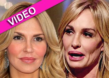 //brandi taylor wenn