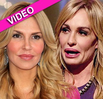 //brandi taylor wenn