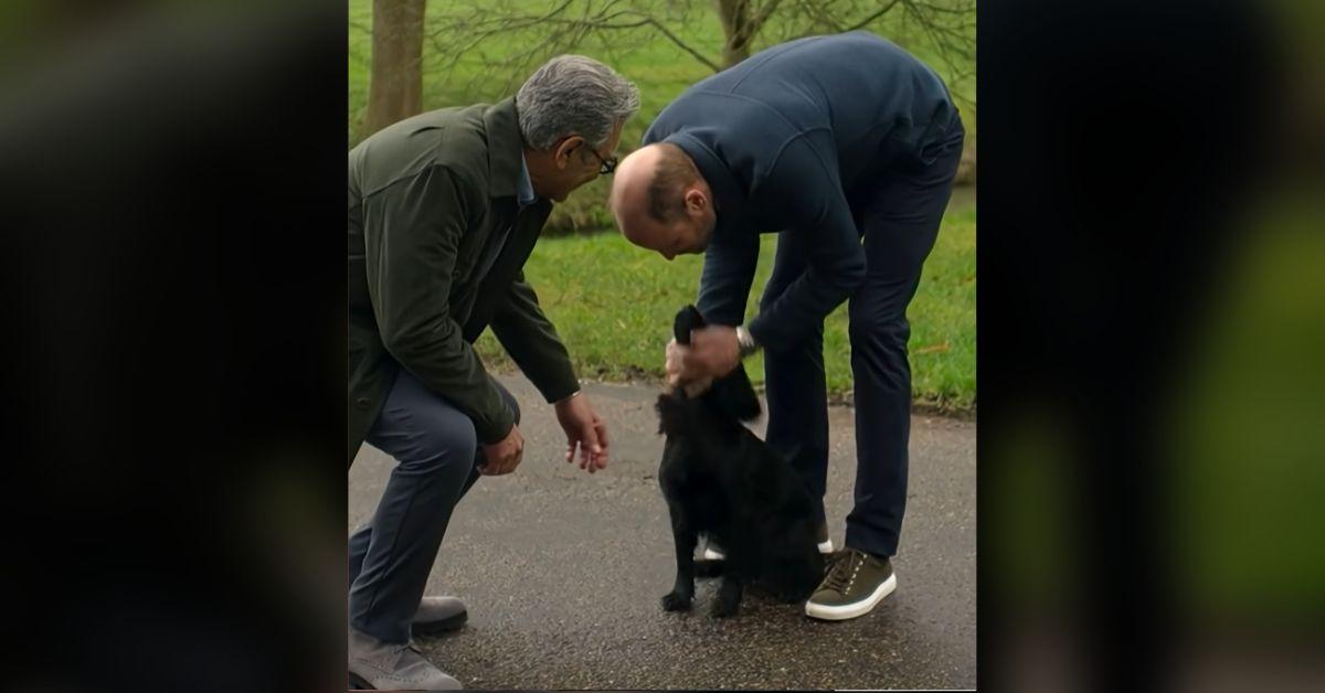 Photo of Eugene Levy, Prince William and Orla