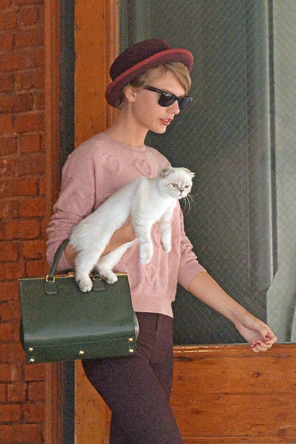 //taylor swift unstable cat lady abigail breslin