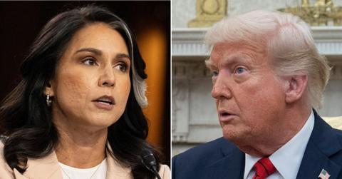 Split photo of Tulsi Gabbard, Donald Trump