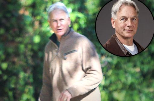 //mark harmon heart attack  pp