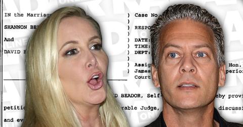 shannon beador income rhoc money david beador exposes finances