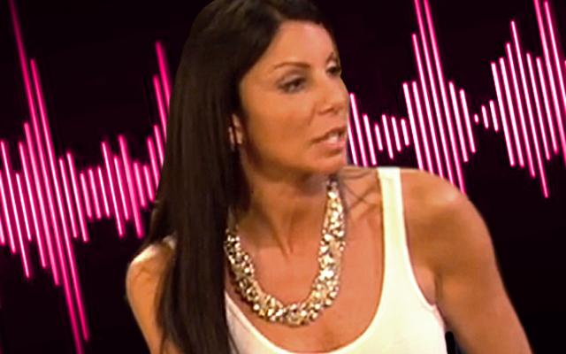 Danielle Staub Racist Rant N Word RHONJ