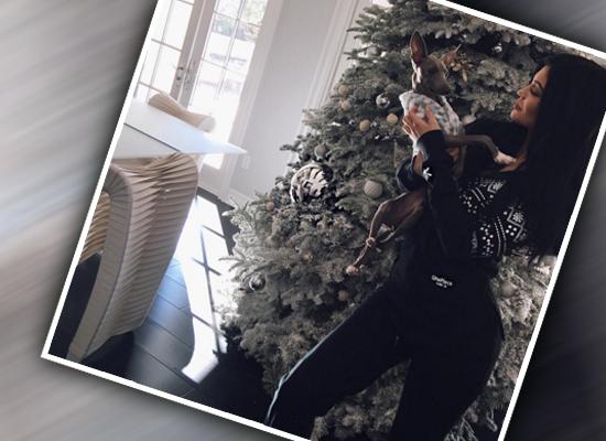 Kylie Jenner Christmas Décor