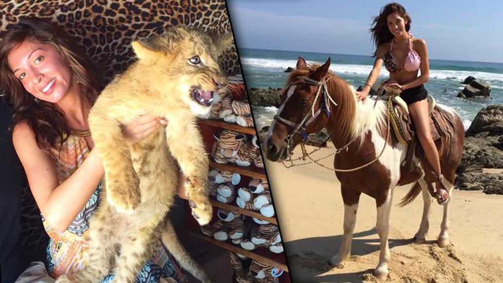 //farrah abraham lion mexico birthday vacation peta controversy