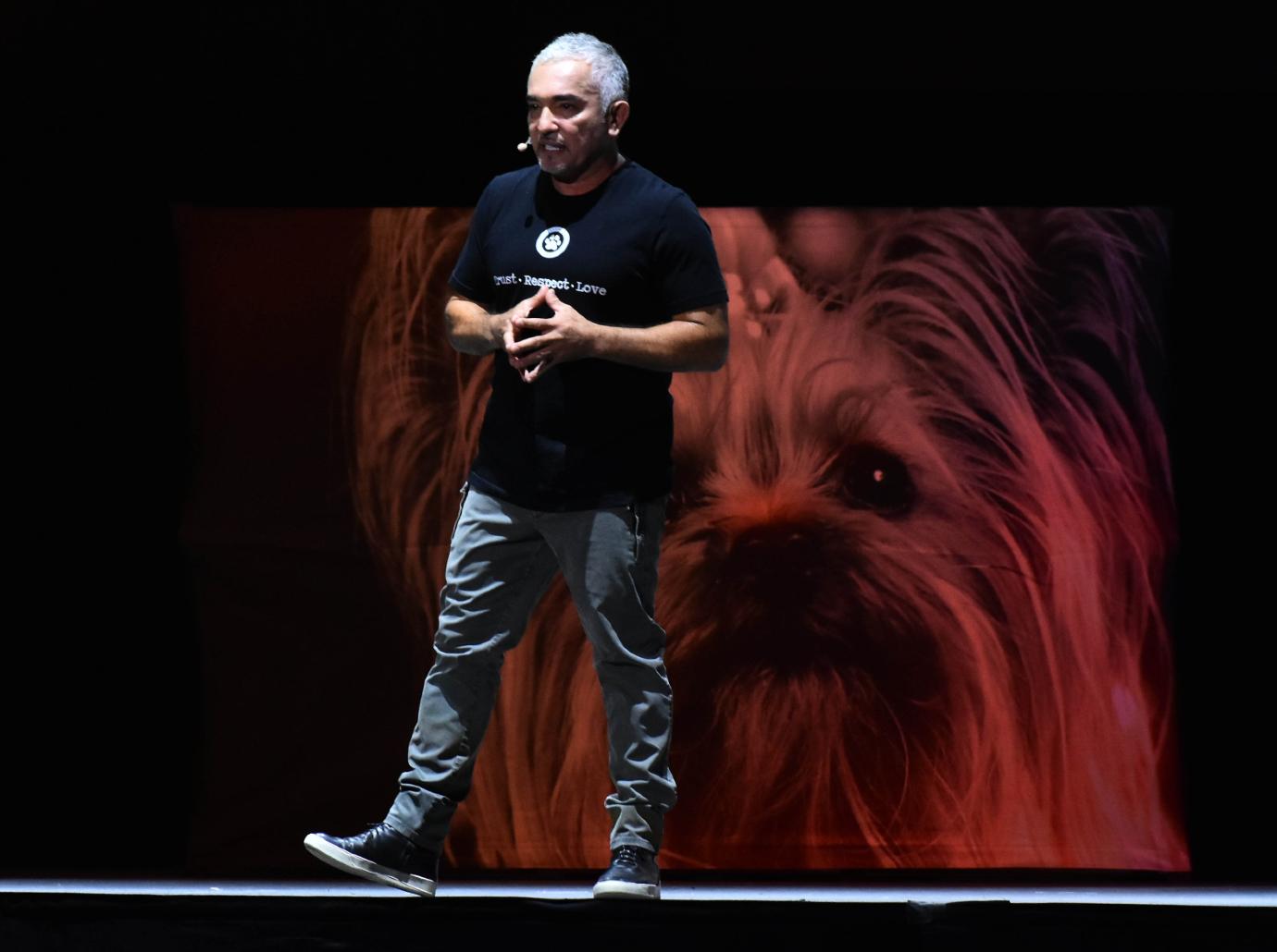 cesar millan gallery pic