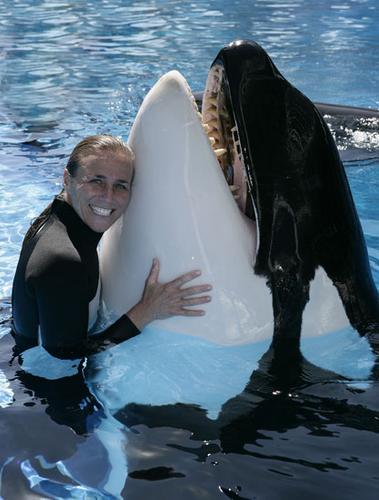 Dawn Brancheau - Sea World Trainer