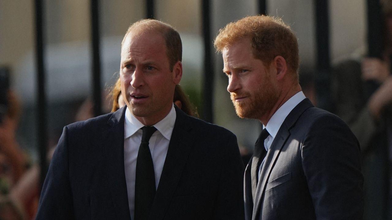 Photo of Princes William and Harry