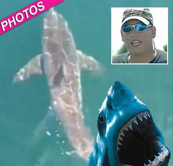 //great white cape cod post