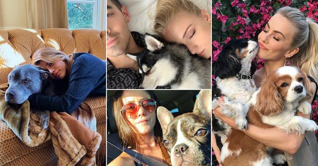 Celebrity Pet Deaths Of 2019