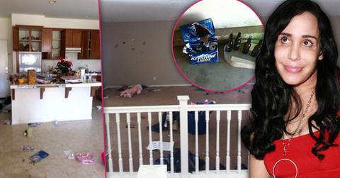 //octomom filthy home