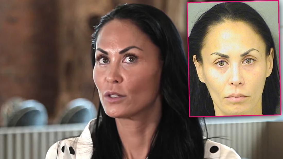 Former RHONY star Jules Wainstein is arrested for battery in Florida amid ongoing divorce battle