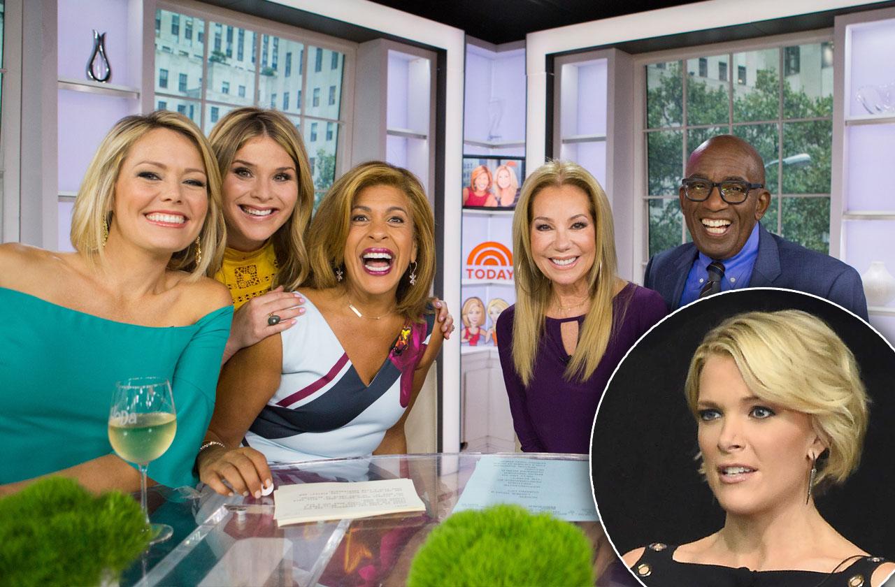 //megyn kelly today show pp