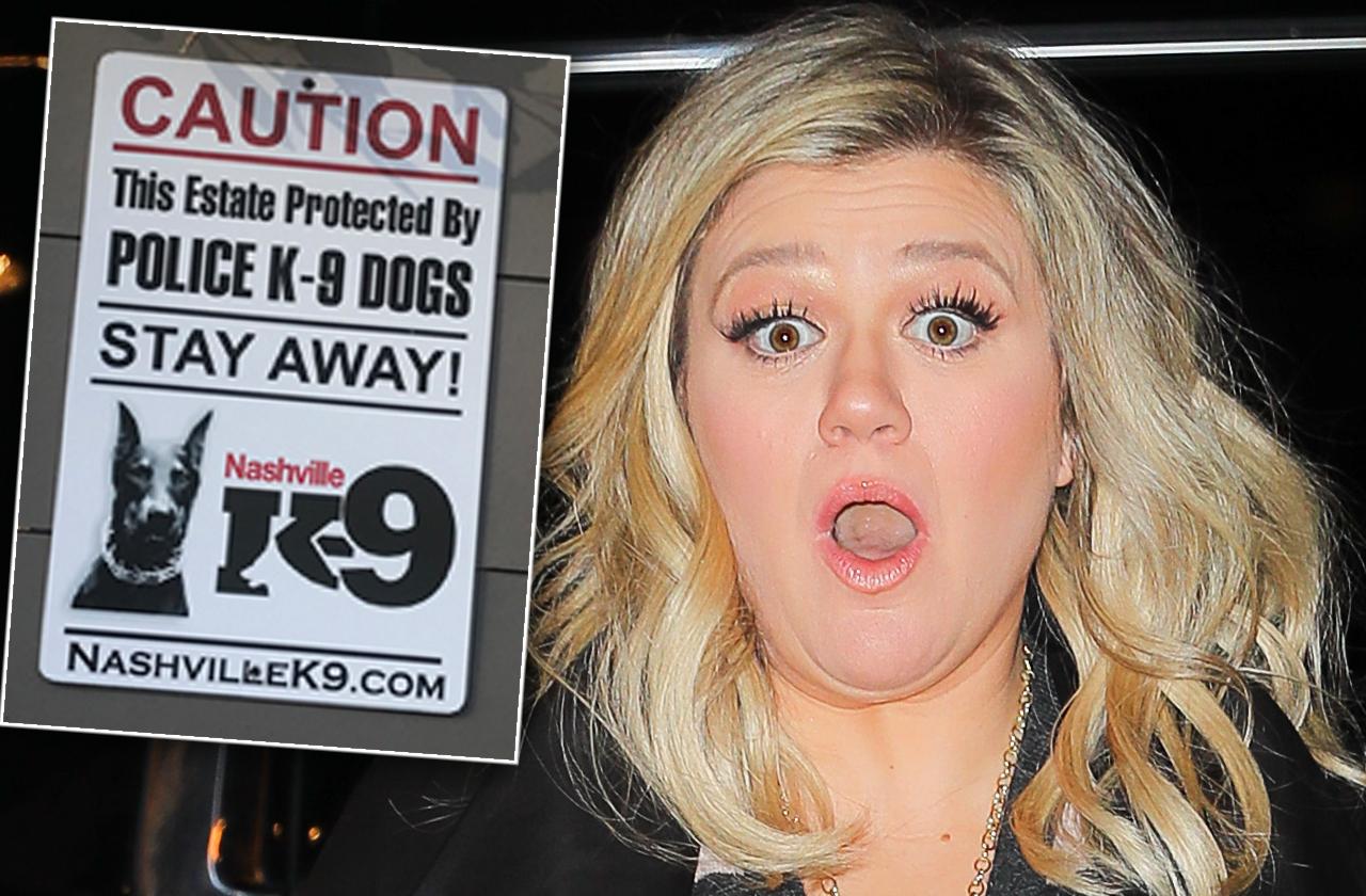 Kelly Clarkson Gets Trained Security Dog After Home Break-In