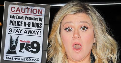 Kelly Clarkson Gets Trained Security Dog After Home Break-In