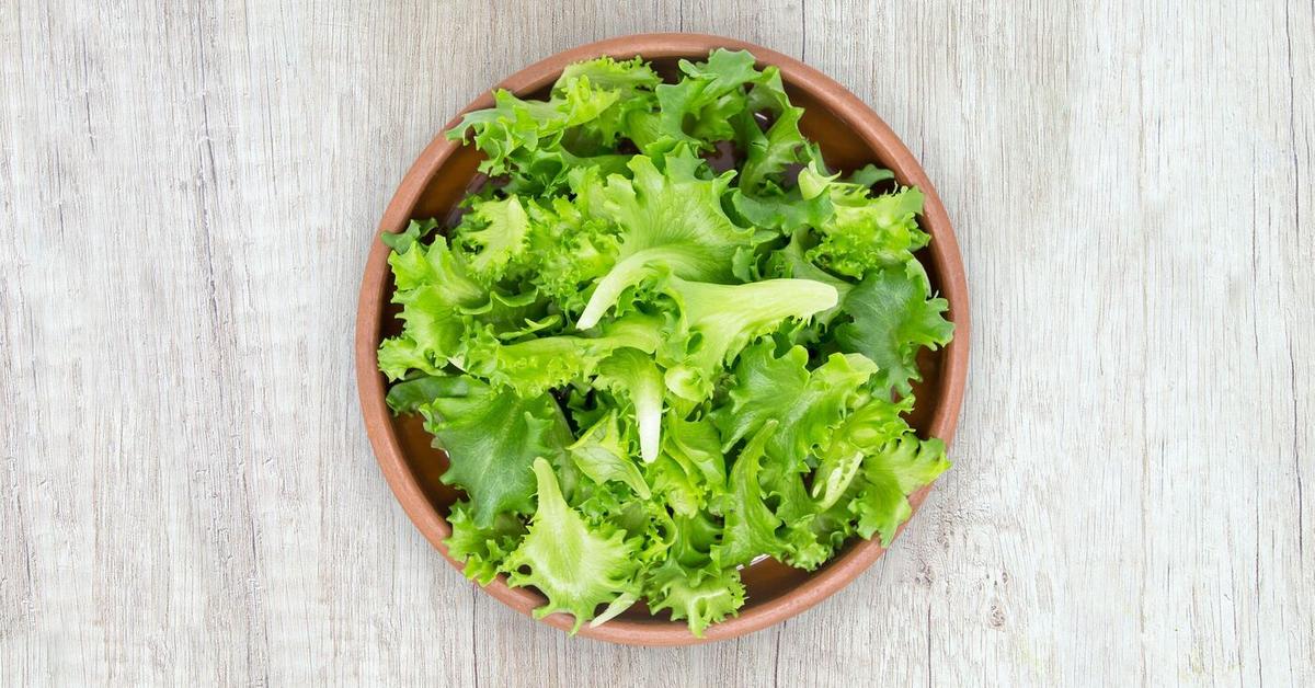 Lettuce Nutrition — Complete Data Of All Nutrients