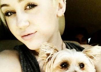//miley cyrus dog dies twitter
