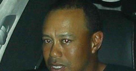 //Tiger Woods Rehab Diaries Exposed New Book pp