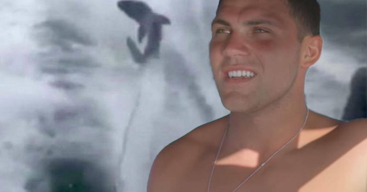 'Siesta Key' Cancels Party Over Alex Kompothecras Shark Attack Threats