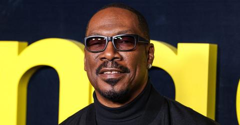picture of Eddie Murphy