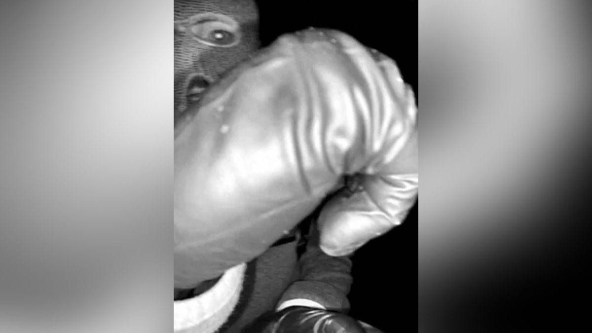 Photo of Nancy Guthrie Suspect