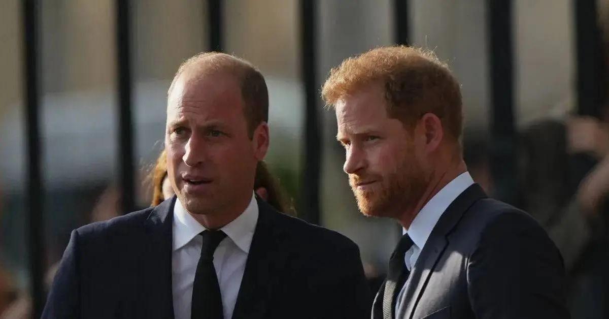 Prince William and Prince Harry 