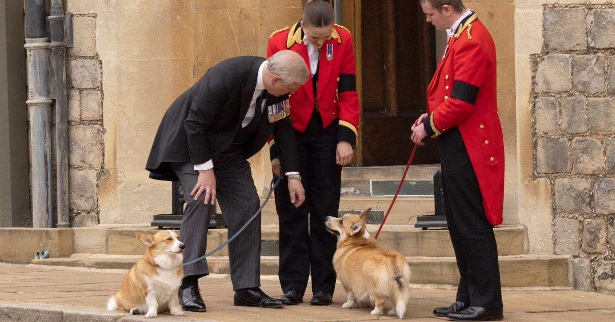 Photo of Andrew Windsory, Muick and Sandy