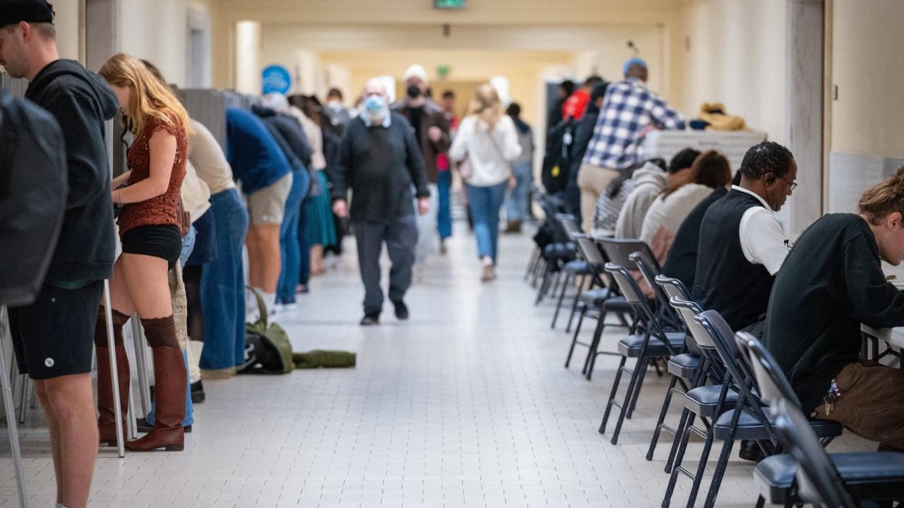 Voters at the Polls