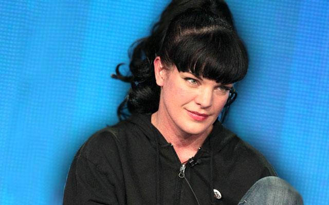 Pauley Perrette Boobs