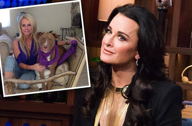 kyle richards blames stylist kim dog attack