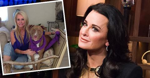 kyle richards blames stylist kim dog attack