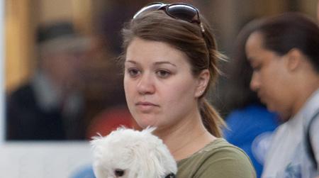//kelly clarkson dog