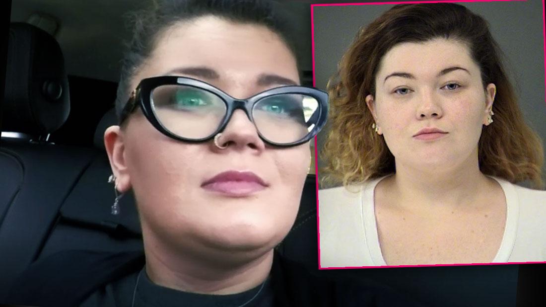 Amber Portwood Inset Amber Portwood Mugshot