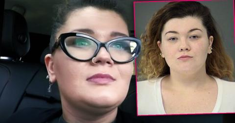 Amber Portwood Inset Amber Portwood Mugshot