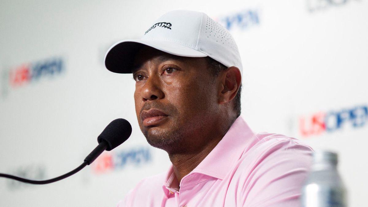 picture of tiger woods