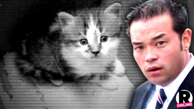 //jon gosselin left kitten evicted rental home pp sl