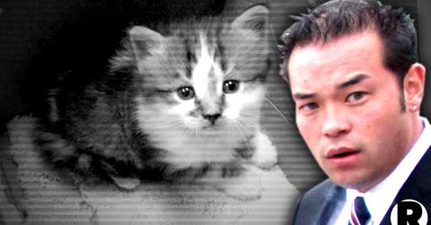 //jon gosselin left kitten evicted rental home pp sl