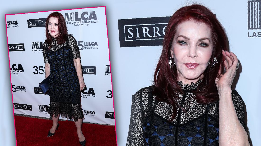 Priscilla Presley Attends Animal Charity After Horse Dies