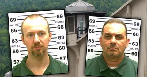 Prison Break New York DNA