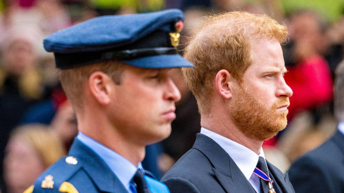 picture of Prince William and Prince Harry